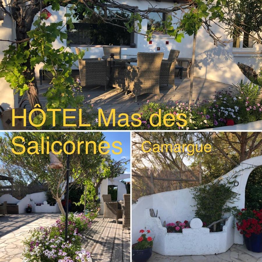 Mas Des Salicornes Otel Saintes-Maries-de-la-Mer Dış mekan fotoğraf