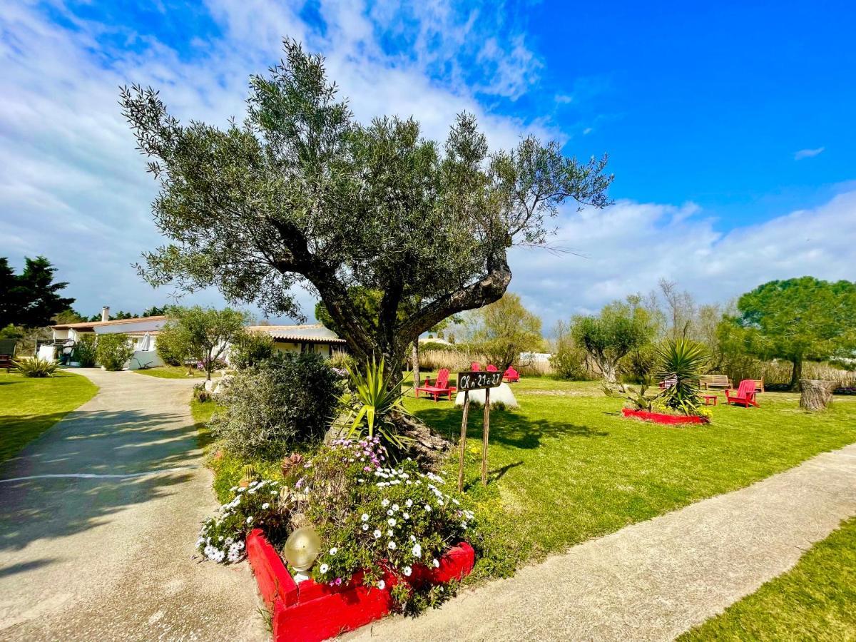 Mas Des Salicornes Otel Saintes-Maries-de-la-Mer Dış mekan fotoğraf