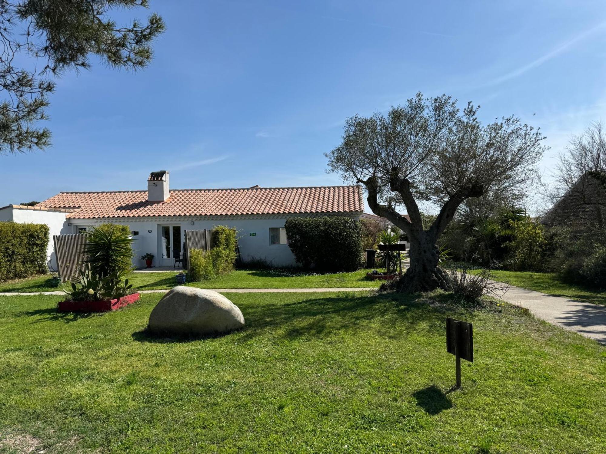 Mas Des Salicornes Otel Saintes-Maries-de-la-Mer Dış mekan fotoğraf