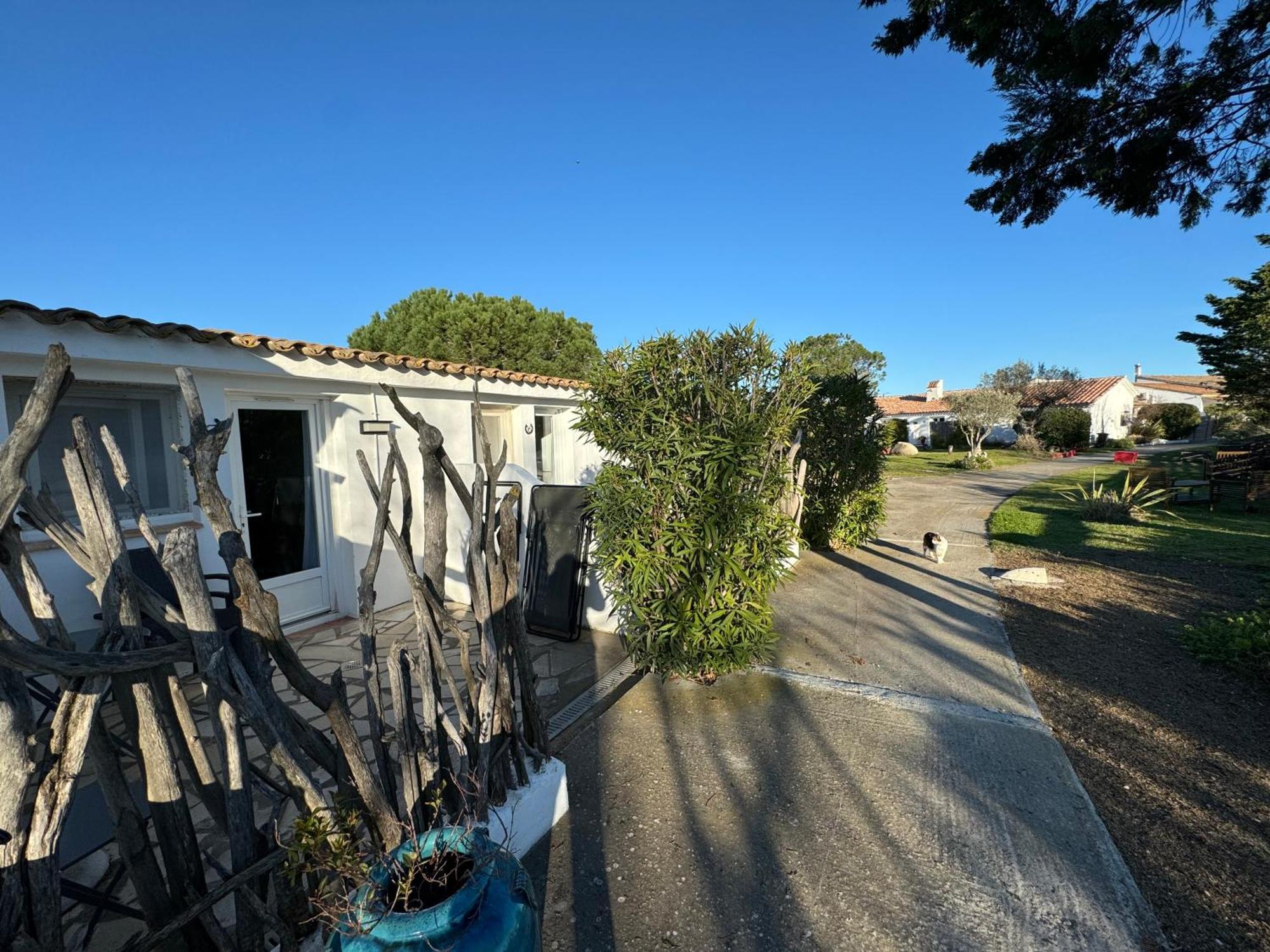 Mas Des Salicornes Otel Saintes-Maries-de-la-Mer Dış mekan fotoğraf